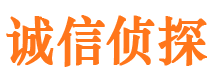 廛河私家调查公司